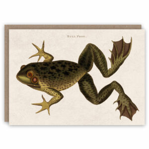 Frog greeting card