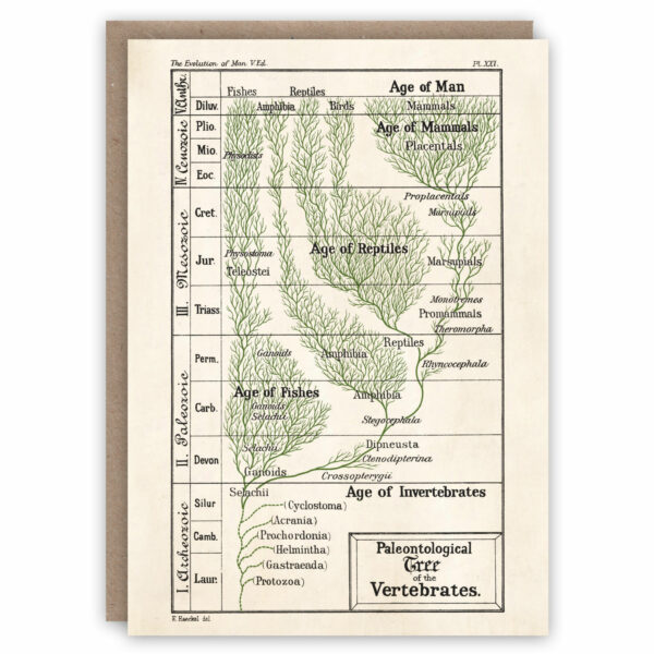 Greeting card illustrating a timeline of evolution