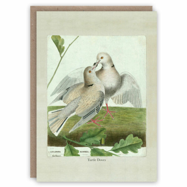 Greeting card illustrating 2 turtle doves