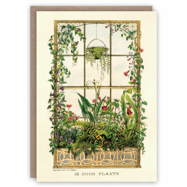 Vintage style greeting card illustrating different types of indoor house plants