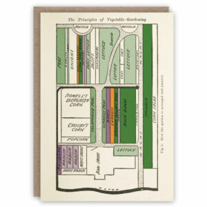 Greeting card illustrating the layout of a vegetable plot