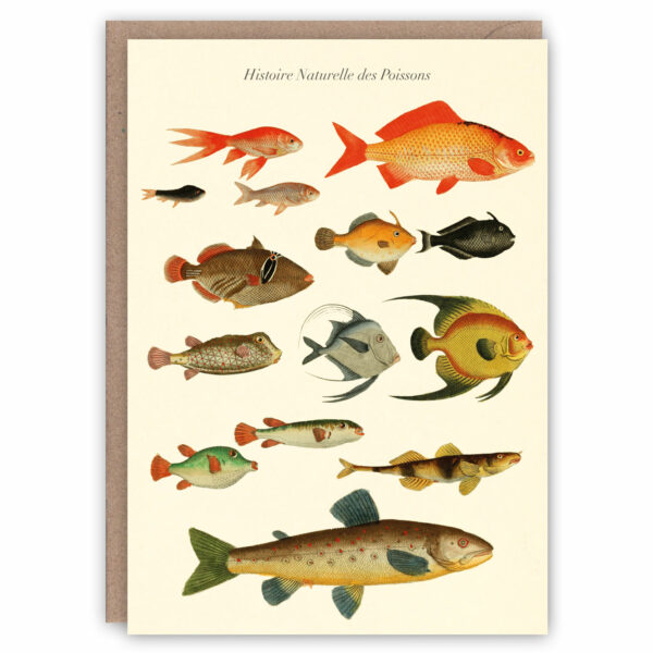 Greeting card illustrating vintage fish