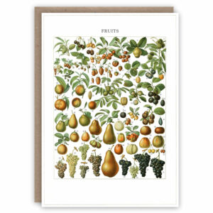 Greeting card illustrating types of fruit