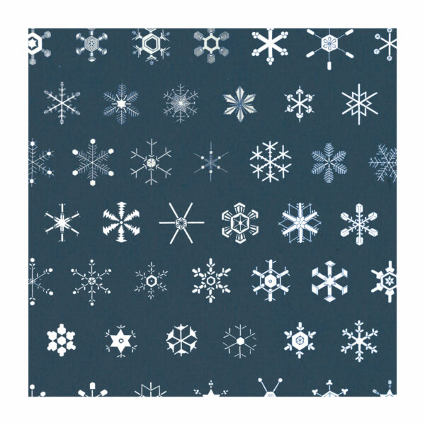 Detail from Christmas wrapping paper with snowflakes pattern