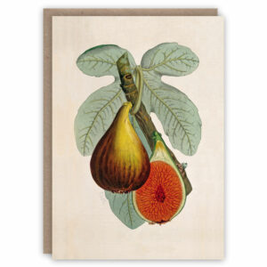 Fig plant greeting card illustrating fruit and leaves