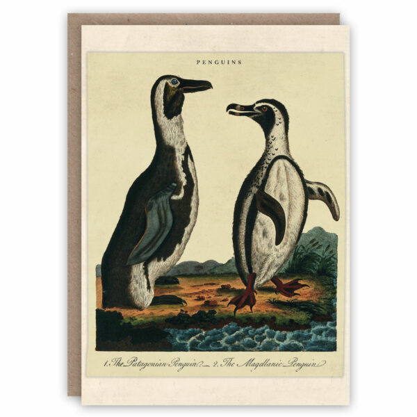 Penguin greeting card