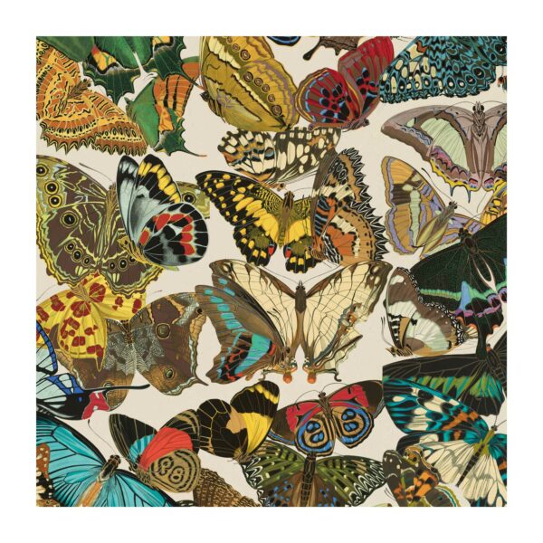 Detail from wrapping paper created from vintage butterfly illustrations